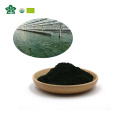 EU organic spirulina powder bulk organic spirulina tablet